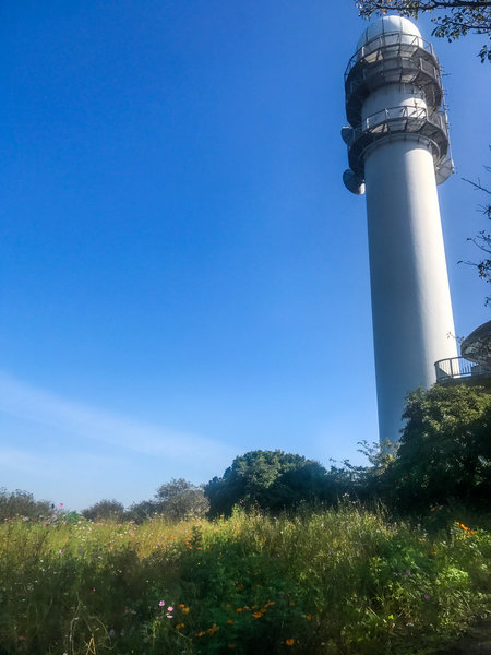 There is a field of flowers near the top. There is also a weather station that has a nice viewing platform.