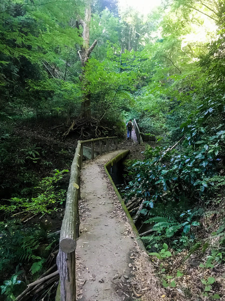 A small bridge over a small creek.