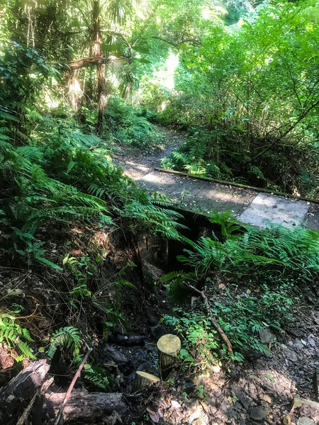 A bridge over a small creek.