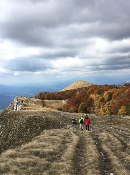 Downhill, view over Vipava valley.