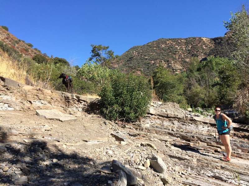 Amazing rock features throughout the trail.