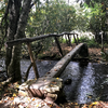 Footbridge at the Big Fork trailhead  on Cataloochee Rd.