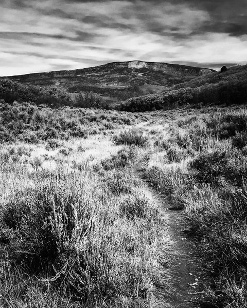 Basalt Mtn. back there.