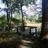 Observation platform overlooking Beaver Marsh