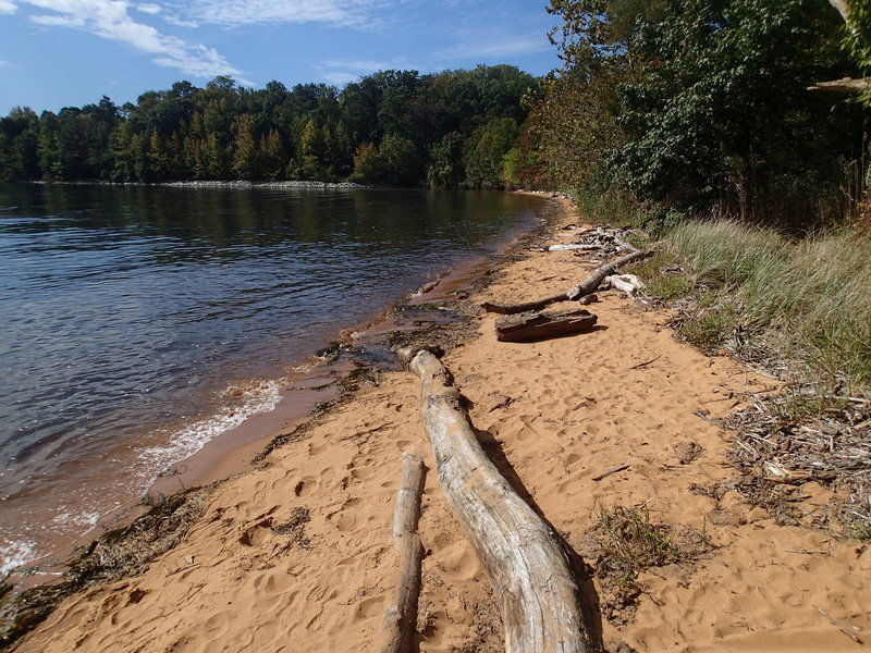 Beach along the Elk River