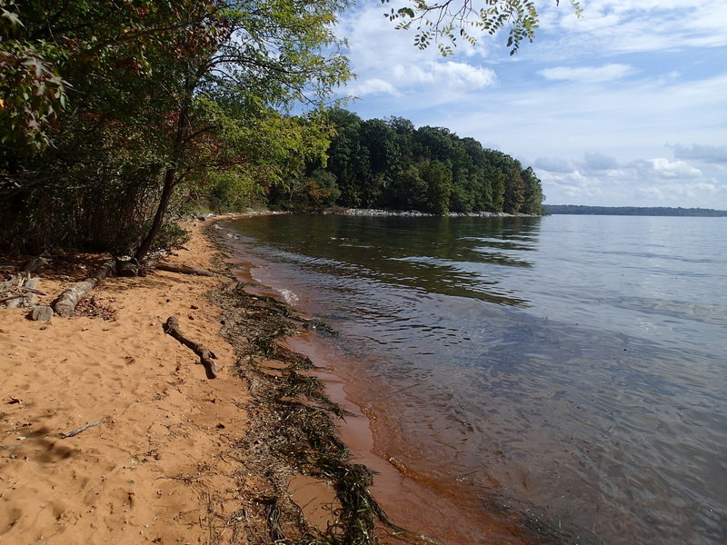 Beach along the Elk River