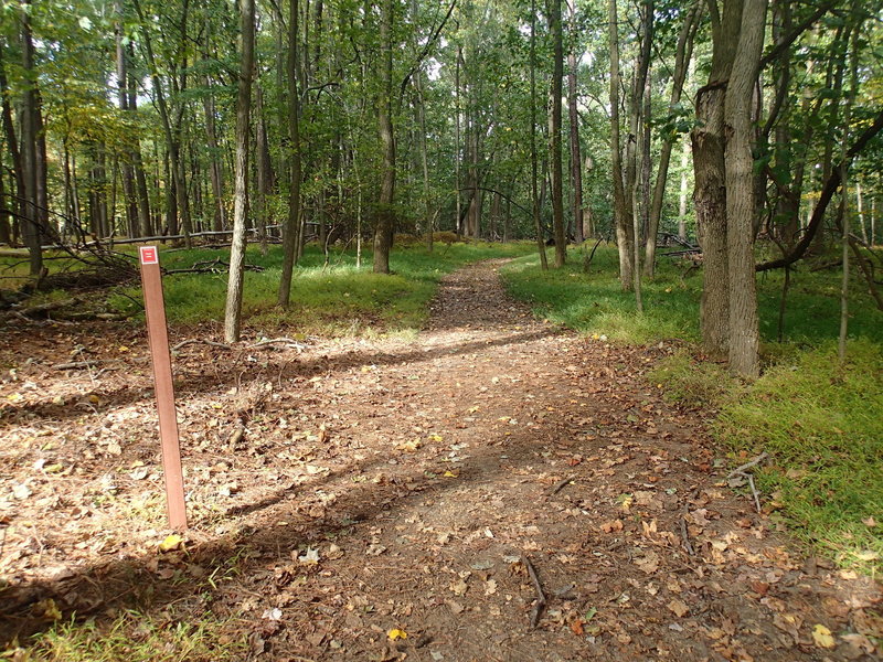 Pond Loop Trail