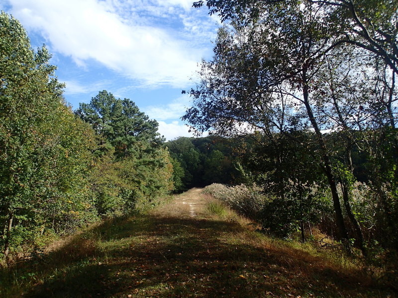 Trail along levee.