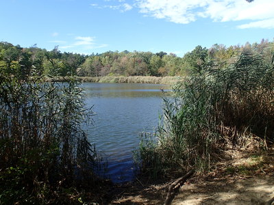 View of Wapiti Pond.