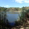 View of Wapiti Pond.