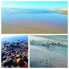 Where the Tijuana River meets the Pacific Ocean during low tide.