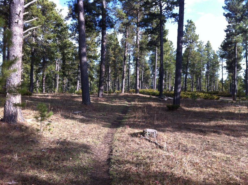 View south of Edge from trail junction.