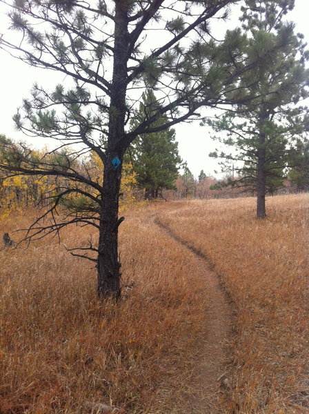 Sundance Trail—view east.