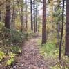 Upper Ogden Trail.