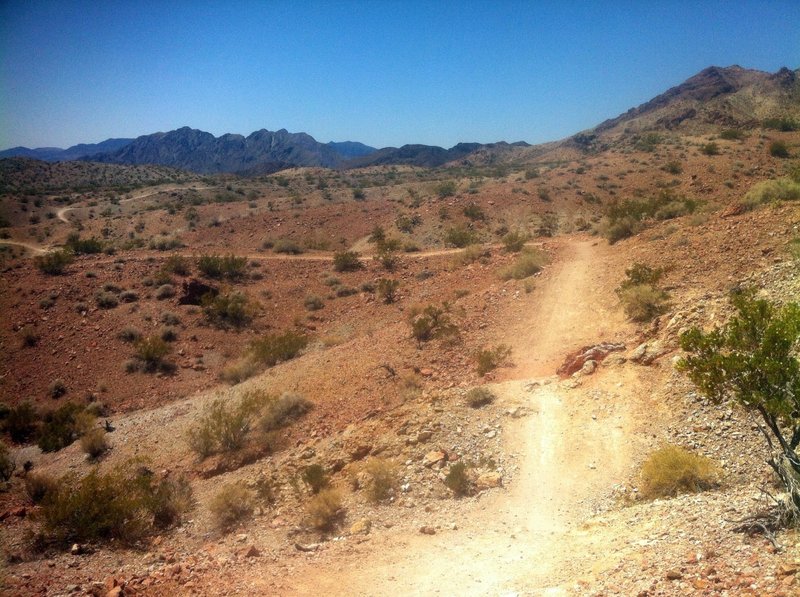 IMBA gullies and trail.