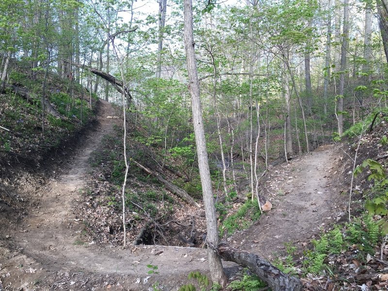 Crossing the second ravine on Trail C.