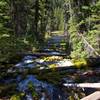 Boundary Springs. Source of the Rogue River.