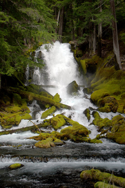 Rough Rider Falls.