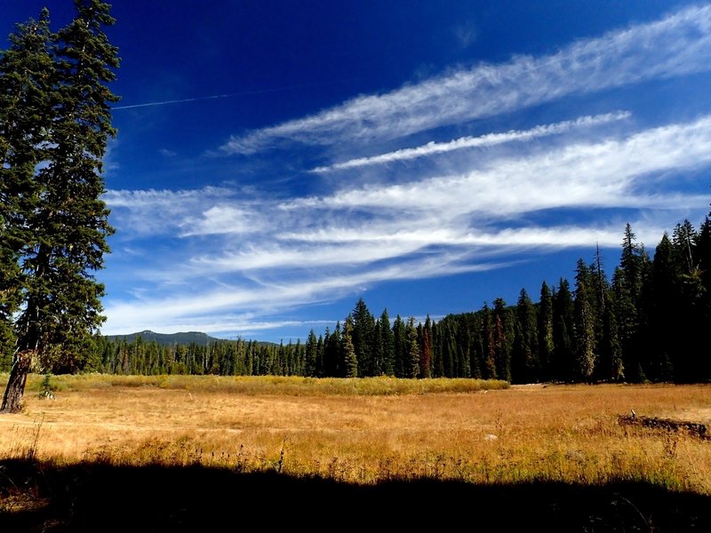 Hamaker Meadows along the Upper Rogue River Trail.