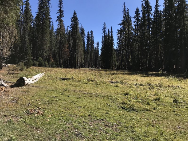 Stanshaw Trail Hiking Trail, Happy Camp, California