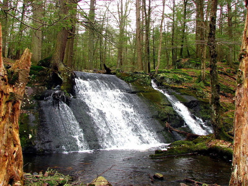 Stony Brook Upper Cascade.