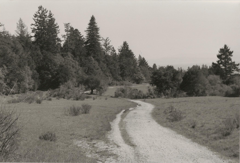 Chinquapin Trail on a summer day.