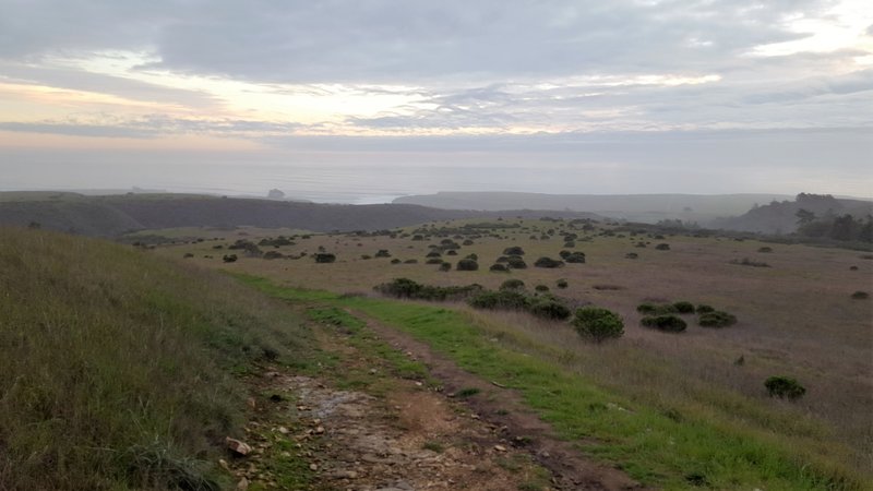 Ocean view from the Baldwin Loop Trail.