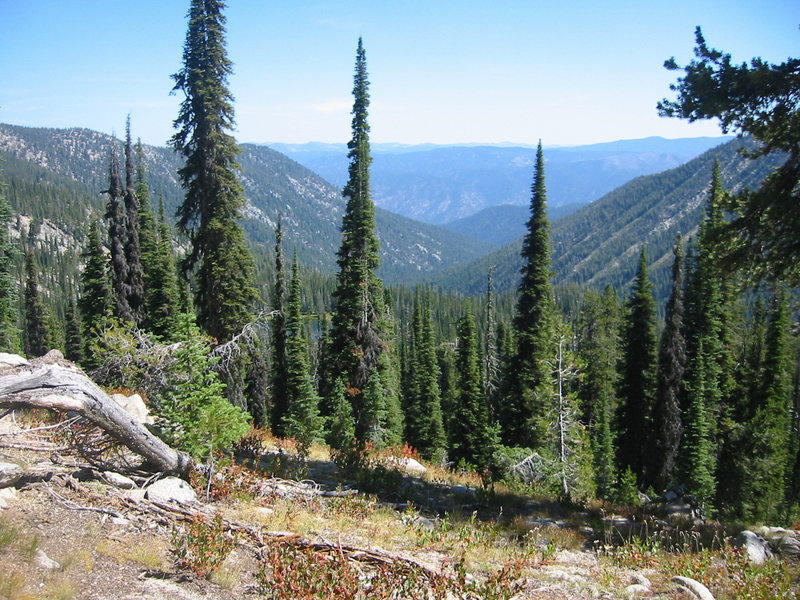 Looking down into the Cougar drainage.