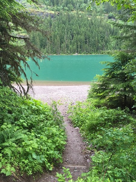 Path to Avalanche Lake