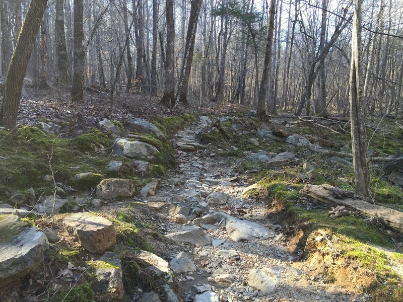 A rocky section along the creek.