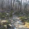 A rocky section along the creek.