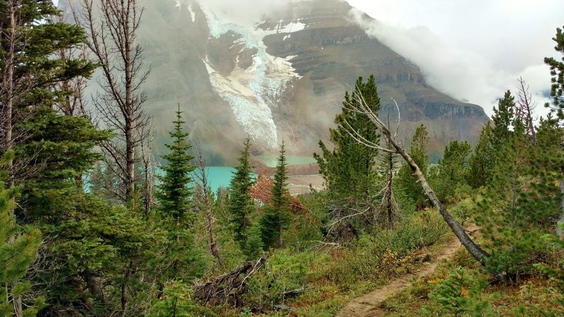 Berg Lake, Mist Glacier, and the base of Mt. Robson appear through the trees and clouds, on Hargreaves Lake Route