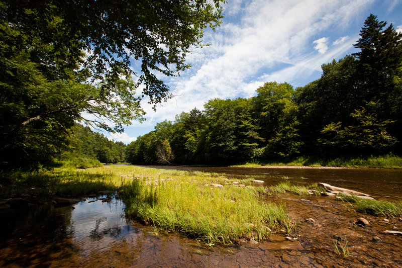 Stop to enjoy the riverside view of Shavers Fork