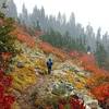 Fall colors and snowfall.