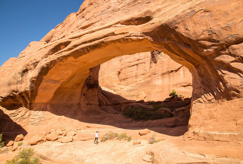 Tower Arch