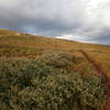 Just another alpine trail after work. Great way to beat the heat!