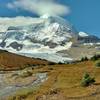 Mt. Robson from the upper meadows, below Snowbird Pass.