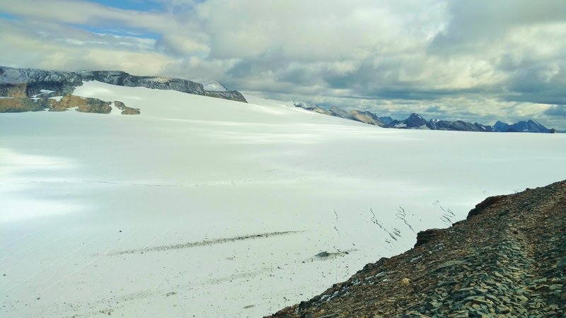 Reef Icefiled looking southeast from Snowbird Pass. Reef Glacier flows southeast down off the edge on the right center of the picture. Steppe Glacier also flows southeast in the upper center of the picture.