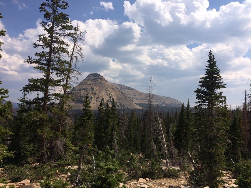 Reid’s peak and Bald Mtn from North of Bench Lake