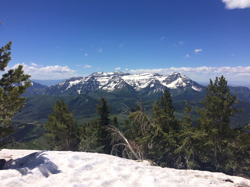 Timpanogos Massif from Mill Canyon Peak.