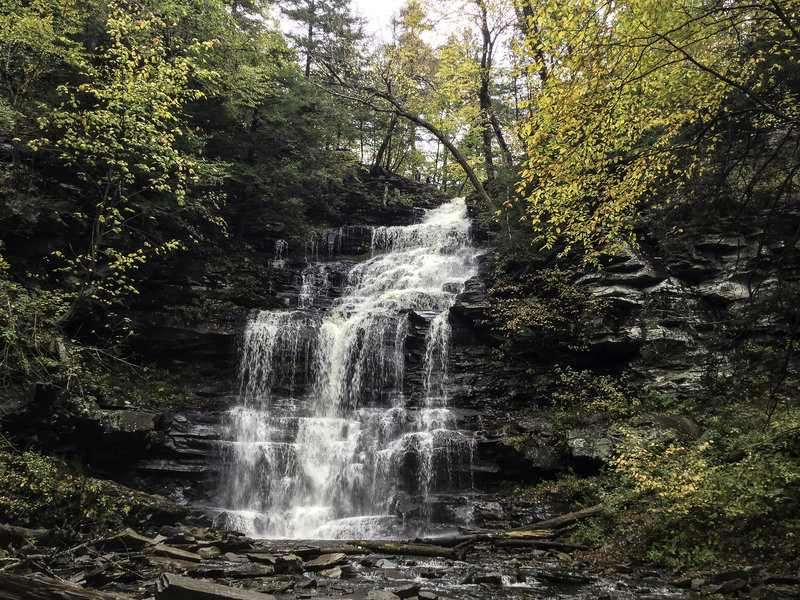 Ganoga Falls, a 94 ft. cascade.