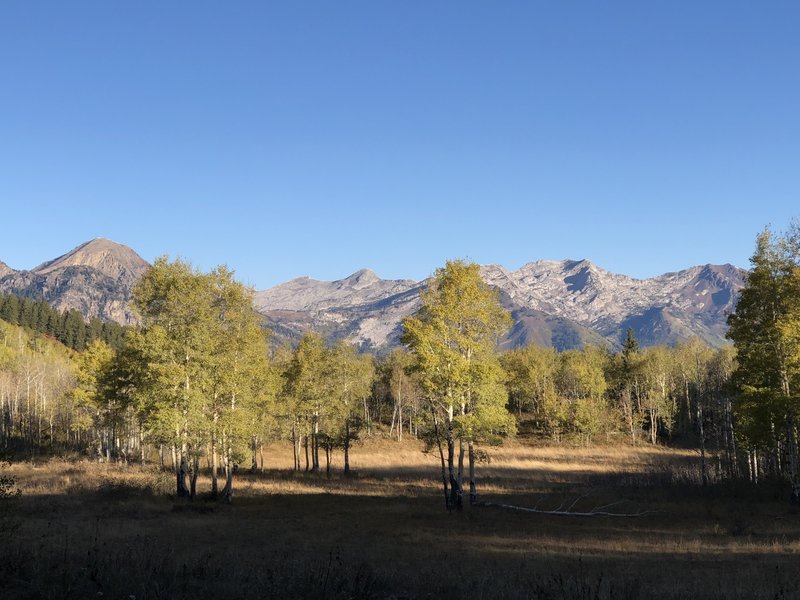 View north from Horse Flat Trail