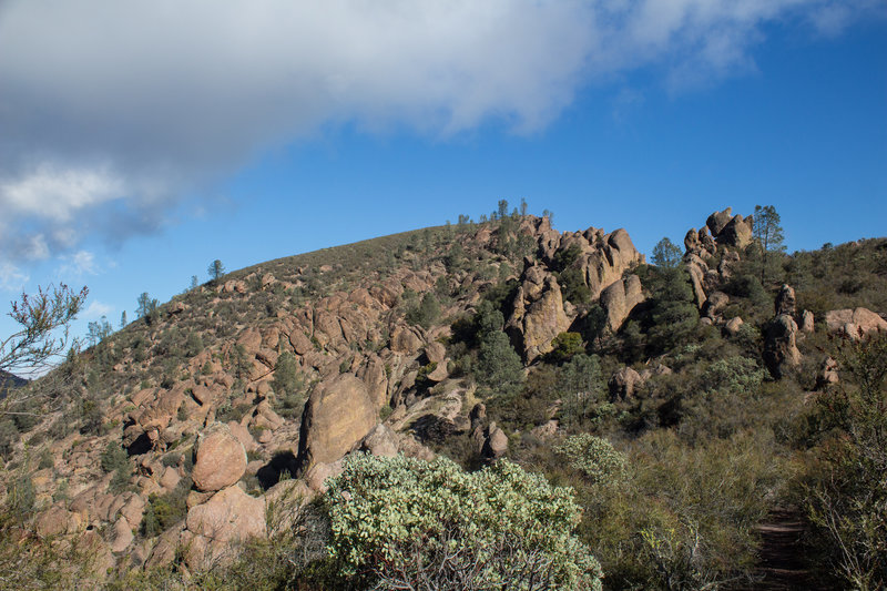 Volcanic boulders next to Chalone Peak Trail