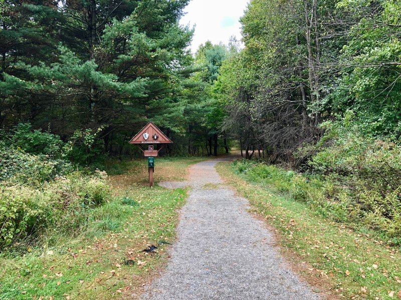 The trail as it departs from the visitor center.