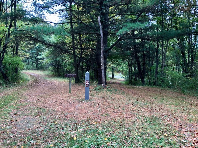 The horse trail breaks off to the right while the Wilkinson Trail goes off to the left.