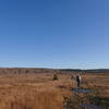 Heading through the Dolly Sods.