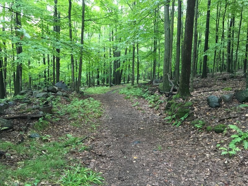 Heading into a switchback section on the east side.