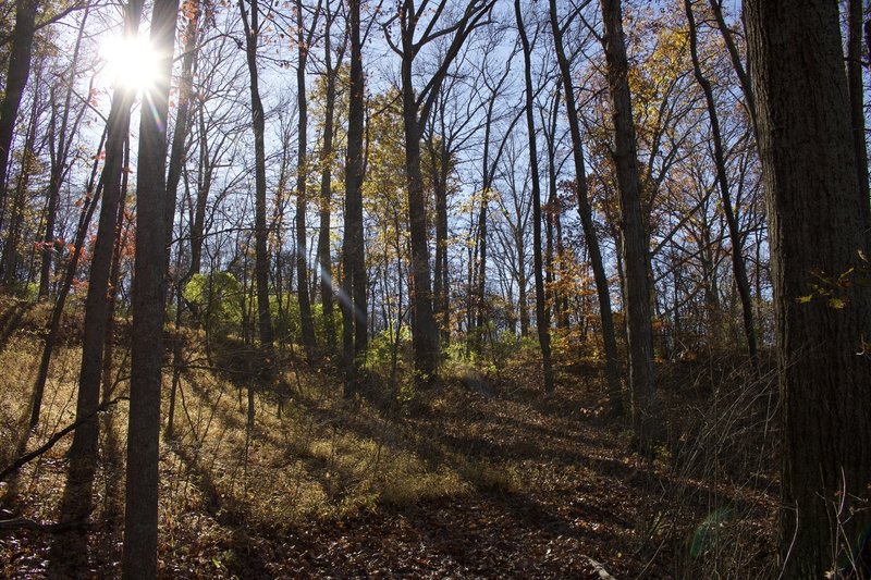 Fall in Indiana along the Memorial Loop Trail.