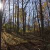 Fall in Indiana along the Memorial Loop Trail.