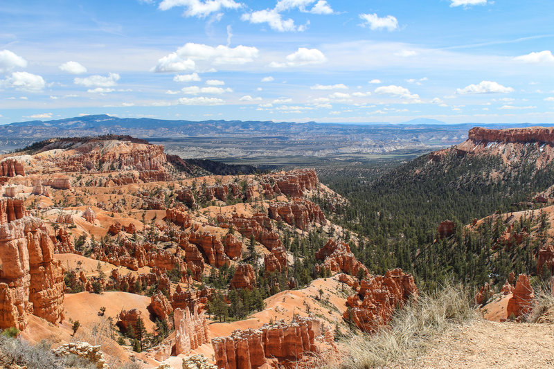 Far reaching views from the Rim Trail between Sunset Point and Sunrise Point